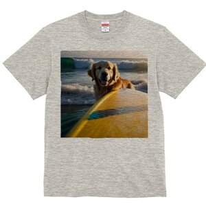 TVc Y LbY t@  t  vg JWA 킢 lԗp tBbglX _X T[t{[h S[fgo[ C g T[tB [