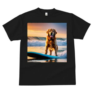 TVc fB[X t@  t  vg JWA 킢 lԗp tBbglX _X T[tB S[fgo[ C [Ă