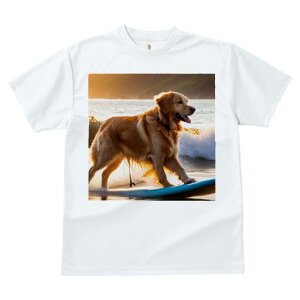 TVc fB[X t@  t  vg JWA 킢 lԗp tBbglX _X T[t{[h S[fgo[ C [