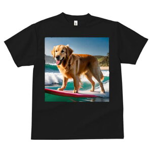 TVc fB[X t@  t  vg JWA 킢 lԗp tBbglX _X T[t{[h S[fgo[ C l