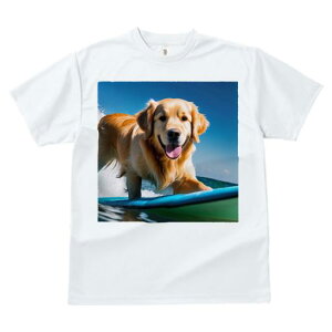 TVc fB[X t@  t  vg JWA 킢 lԗp tBbglX _X T[t{[h S[fgo[ C g 