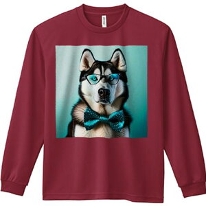 TVc lԗp Y Ht vg W[ AEghA JWA 킢 t@ ዾ VxAnXL[ lN^C 