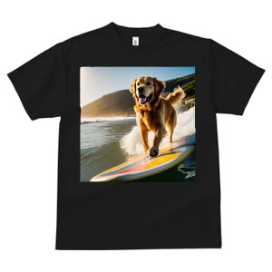 TVc fB[X t@  t  vg JWA 킢 lԗp tBbglX _X T[t{[h S[fgo[ T[tB r[` g 