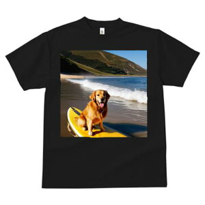 TVc fB[X t@  t  vg JWA 킢 lԗp tBbglX _X T[tB S[fgo[ r[` g 