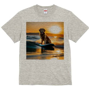 TVc Y LbY t@  t  vg JWA 킢 lԗp tBbglX _X T[tB S[fgo[ [ C g