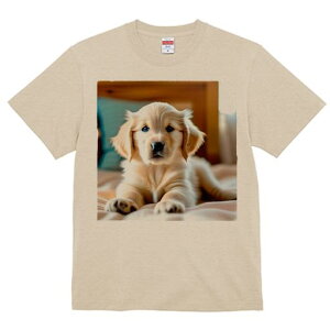 TVc Y LbY t@  t  vg JWA 킢 lԗp tBbglX _X xbh S[fgo[  ؐƋ