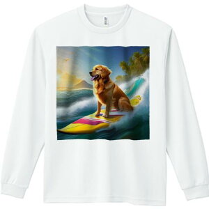 TVc lԗp Y Ht vg W[ AEghA JWA 킢 t@ T[t{[h S[fgo[ C [ p[c[