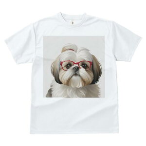 TVc fB[X t@  t  vg JWA 킢 lԗp tBbglX _X Kl V[Y[ ԂKl