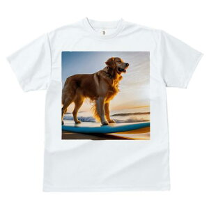 TVc fB[X t@  t  vg JWA 킢 lԗp tBbglX _X T[t{[h S[fgo[ r[` [