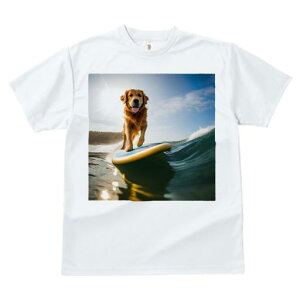 TVc fB[X t@  t  vg JWA 킢 lԗp tBbglX _X T[t{[h S[fg[o[ C g z