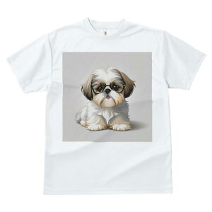 TVc fB[X t@  t  vg JWA 킢 lԗp tBbglX _X Kl V[Y[ 킢 ybg 