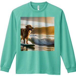 TVc lԗp Y Ht vg W[ AEghA JWA 킢 t@ T[tB S[fgo[ [ C g