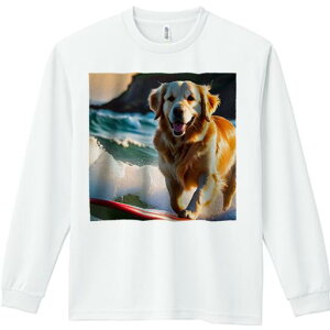 TVc lԗp Y Ht vg W[ AEghA JWA 킢 t@ T[tB S[fgo[ ` C [