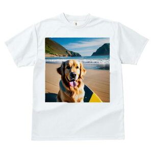 TVc fB[X t@  t  vg JWA 킢 lԗp tBbglX _X r[` S[fgo[ T[t{[h C R g