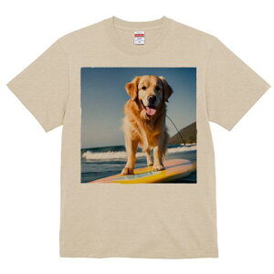 TVc Y LbY t@  t  vg JWA 킢 lԗp tBbglX _X T[t{[h S[fgo[ C g r[`