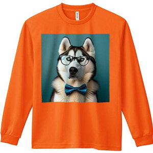 TVc lԗp Y Ht vg W[ AEghA JWA 킢 t@ Kl VxAnXL[ lN^C F t@bV