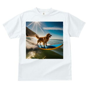 TVc fB[X t@  t  vg JWA 킢 lԗp tBbglX _X T[tB S[fgo[ C g z