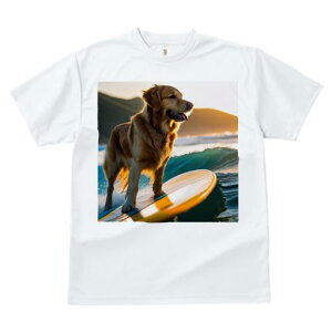 TVc fB[X t@  t  vg JWA 킢 lԗp tBbglX _X T[t{[h S[fgo[ C [ g R