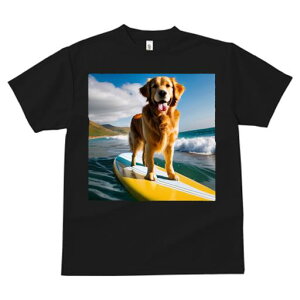 TVc fB[X t@  t  vg JWA 킢 lԗp tBbglX _X T[t{[h S[fg[o[ C g 