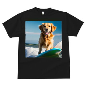 TVc fB[X t@  t  vg JWA 킢 lԗp tBbglX _X T[t{[h S[fgo[ C g 