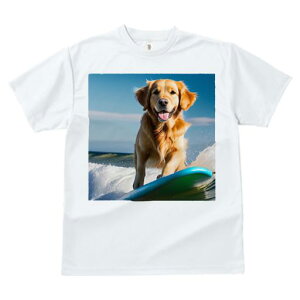 TVc fB[X t@  t  vg JWA 킢 lԗp tBbglX _X T[t{[h S[fgo[ C g 