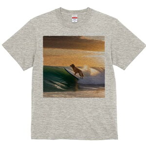 TVc Y LbY t@  t  vg JWA 킢 lԗp tBbglX _X T[tB S[fgo[ g [ C