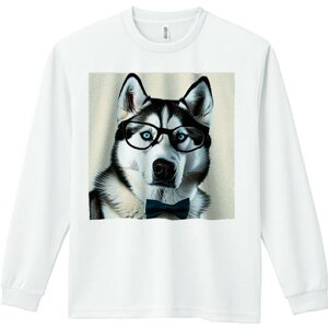 TVc lԗp Y Ht vg W[ AEghA JWA 킢 t@ Kl VxAnXL[ lN^C