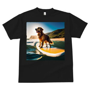 TVc fB[X t@  t  vg JWA 킢 lԗp tBbglX _X T[t{[h S[fgo[ r[` C