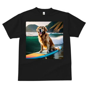 TVc fB[X t@  t  vg JWA 킢 lԗp tBbglX _X T[tB S[fgo[ g C r[` ʐ^