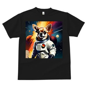 TVc fB[X t@  t  vg JWA 킢 lԗp tBbglX _X Fsm ` F f X^[EH[Y