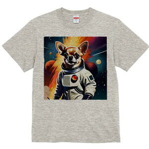 TVc Y LbY t@  t  vg JWA 킢 lԗp tBbglX _X Fsm ` F f X^[EH[Y