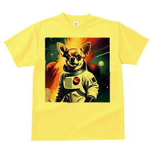 TVc Y LbY t@  t  vg JWA 킢 lԗp tBbglX _X Fsm ` F f X^[EH[Y