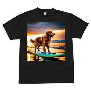 TVc fB[X t@  t  vg JWA 킢 lԗp tBbglX _X T[t{[h S[fg[o[ C [