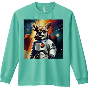 TVc lԗp Y Ht vg W[ AEghA JWA 킢 t@ Fsm ` F f X^[EH[Y