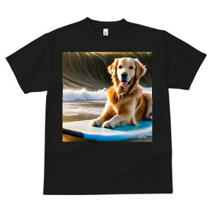 TVc Y LbY t@  t  vg JWA 킢 lԗp tBbglX _X T[tB S[fgo[ g C