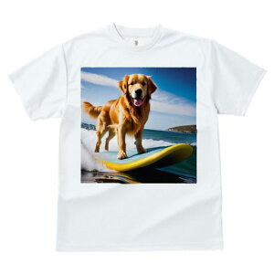 TVc fB[X t@  t  vg JWA 킢 lԗp tBbglX _X T[t{[h S[fgo[ C g 