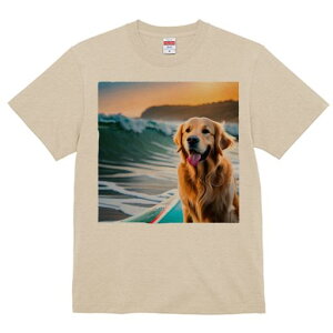 TVc Y LbY t@  t  vg JWA 킢 lԗp tBbglX _X T[t{[h S[fgo[ g [Ă C