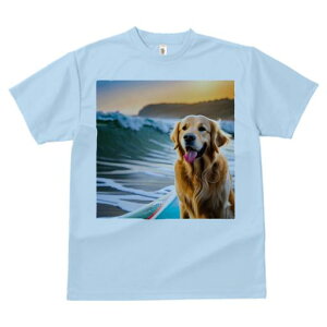 TVc Y LbY t@  t  vg JWA 킢 lԗp tBbglX _X T[t{[h S[fgo[ g [Ă C