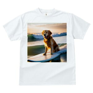 TVc fB[X t@  t  vg JWA 킢 lԗp tBbglX _X T[t{[h S[fgo[ [ g C