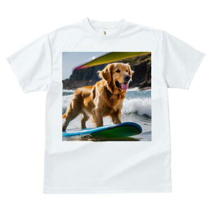 TVc fB[X t@  t  vg JWA 킢 lԗp tBbglX _X T[t{[h S[fgo[ C g r[` 