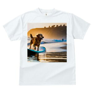 TVc fB[X t@  t  vg JWA 킢 lԗp tBbglX _X r[` S[fgo[ T[t{[h [