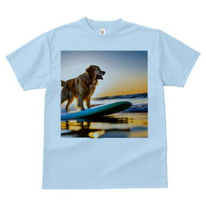 TVc Y LbY t@  t  vg JWA 킢 lԗp tBbglX _X T[t{[h S[fgo[ C [Ă g