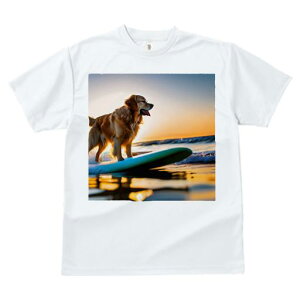 TVc fB[X t@  t  vg JWA 킢 lԗp tBbglX _X T[t{[h S[fgo[ C [Ă g