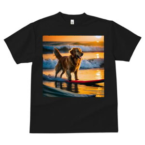 TVc fB[X t@  t  vg JWA 킢 lԗp tBbglX _X T[t{[h S[fgo[ [ C g