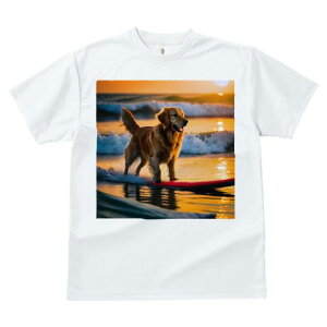 TVc fB[X t@  t  vg JWA 킢 lԗp tBbglX _X T[t{[h S[fgo[ [ C g