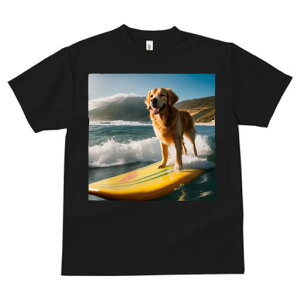 TVc fB[X t@  t  vg JWA 킢 lԗp tBbglX _X T[tB S[fgo[ g C R i