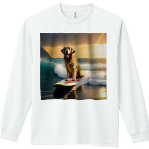 TVc lԗp Y Ht vg W[ AEghA JWA 킢 t@ T[tB S[fgo[ C [