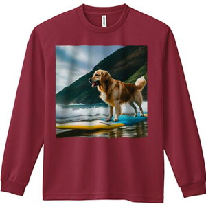 TVc lԗp Y Ht vg W[ AEghA JWA 킢 t@ T[t{[h S[fgo[ C g R