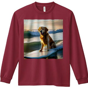 TVc lԗp Y Ht vg W[ AEghA JWA 킢 t@ T[t{[h S[fgo[ [ g C