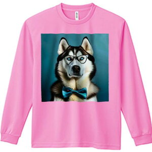 TVc lԗp Y Ht vg W[ AEghA JWA 킢 t@ Kl VxAnXL[ {E^C